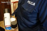 Policjant trzyma puszki z farbą w sprayu - zdjęcie poglądowe z archiwum rudzkiej policji