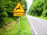 zdjęcie - znak drogowy Uwaga dzikie zwierzęta na tle drogi przez las - źródło : http://doxa.fm/aktualnosci/region/uwaga-dzikie-zwierzeta-na-drodze/