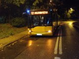 zdjęcie przedstawia stojący na drodze autobus koloru żółtego z nr linii 121
