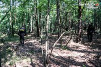 las, drzewa, policjanci - zdjęcie przedstawia policjantów w lesie szukających zaginionego