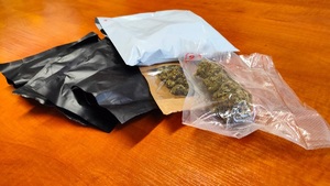 zdjęcie poglądowe przedstawia woreczek foliowy z suszem marihuany